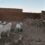 News Highlights: Airstrikes in Khartoum and Nyala, Storm kills thousands in Libya, MEPs criticise Tunisia-EU migration deal